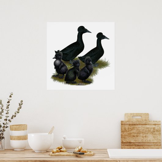 Black Crested Duck Family Poster (Küche)