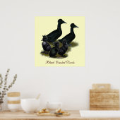 Black Crested Duck Family Poster (Küche)