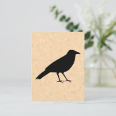 Black Crow Bird auf einem Parchment-Muster. Postkarte (Stehend Vorderseite)