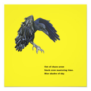 Black Crow & Haiku Fotodruck