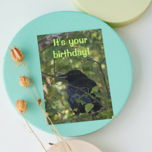 Black Crow in Tree Foto Geburtstagskarte Karte