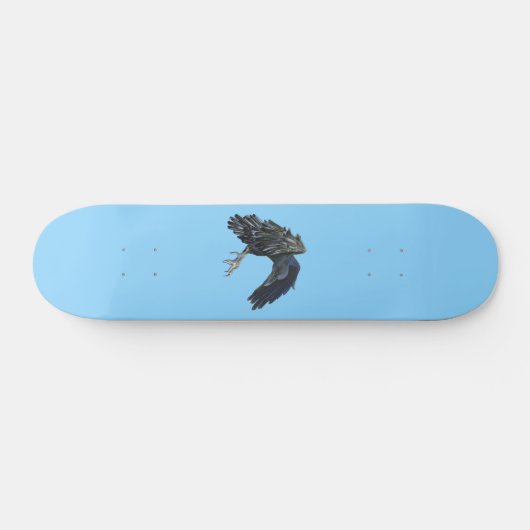 Black Crow Master of Time Illustration Sky Blue Skateboard (Horizontal)