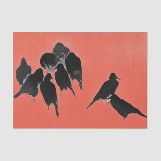 BLACK CROWS JAPANESE DRUCKPAPIER SEIDENPAPIER (Vorderseite)