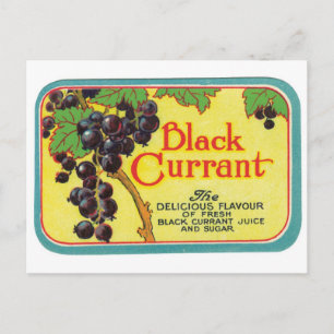 Black Currant Juice Dark Berries Vintages Label Postkarte