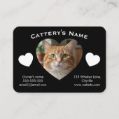 Black Customizable Cattery Business Card Visitenkarte (Vorderseite)