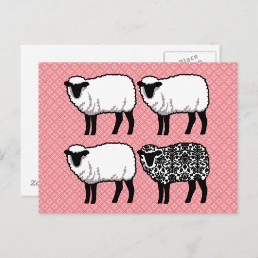 Black Damask Sheep Postkarte (Vorne/Hinten)
