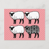 Black Damask Sheep Postkarte (Vorderseite)
