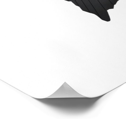 Black Diamond Cichlid Poster (Ecke)