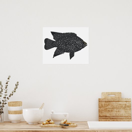 Black Diamond Cichlid Poster (Küche)
