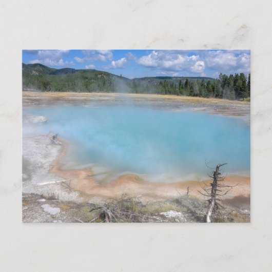 Black Diamond Pool, Yellowstone Nationalpark Postkarte (Vorderseite)