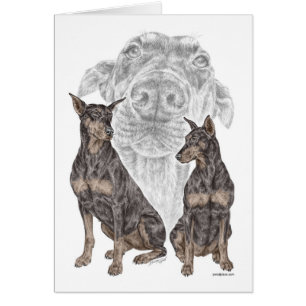 Black Doberman Hunde