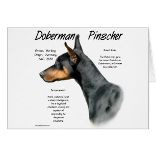 Black Doberman Pinscher History