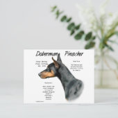 Black Doberman Pinscher History Postkarte (Stehend Vorderseite)