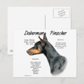 Black Doberman Pinscher History Postkarte (Vorne/Hinten)