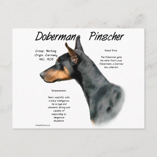 Black Doberman Pinscher History Postkarte (Vorderseite)