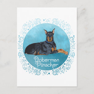 Black Doberman Pinscher Postkarte
