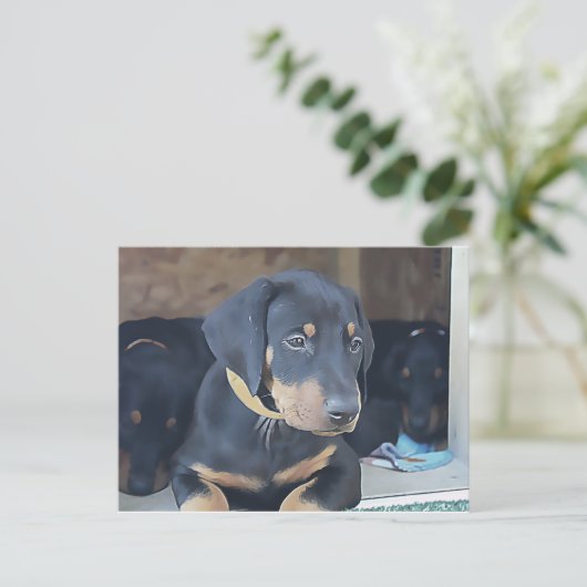 Black Doberman Puppy Postkarte (Stehend Vorderseite)