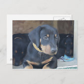 Black Doberman Puppy Postkarte (Vorne/Hinten)