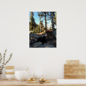 Black Dog Alpine Camp Plakat (Küche)