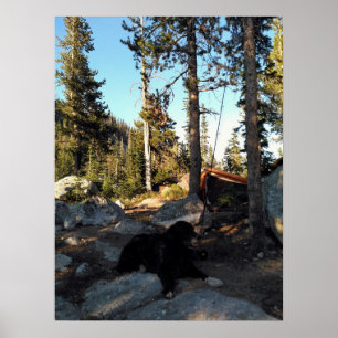 Black Dog Alpine Camp Plakat