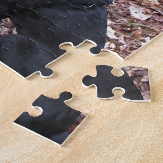 Black Dog Foto Puzzle (Seite)