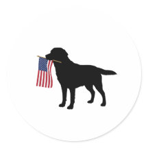 Black Dog Holding American Flag - 4. Juli