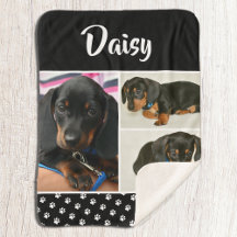 Black Dog Pet Lover Foto Collage Pawprint