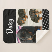 Black Dog Pet Lover Foto Collage Pawprint Sherpadecke (Vorderseite (Horizontal))
