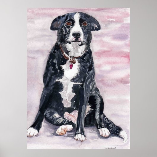 'Black Dog' Poster (Vorne)