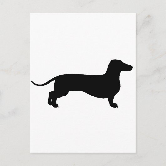 Black Doxie Postkarte (Vorderseite)