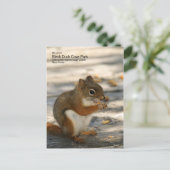 Black Duck Cove Park Postkarte (Stehend Vorderseite)