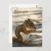 Black Duck Cove Park Postkarte (Vorne/Hinten)