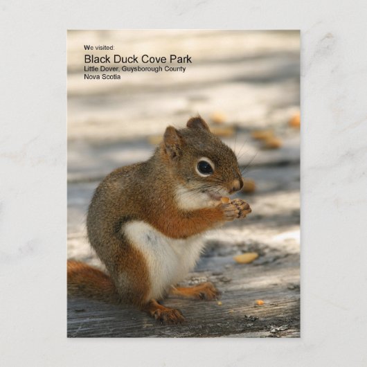 Black Duck Cove Park Postkarte (Vorderseite)