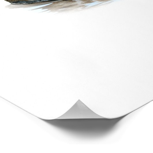 Black Duck Duo Poster (Ecke)