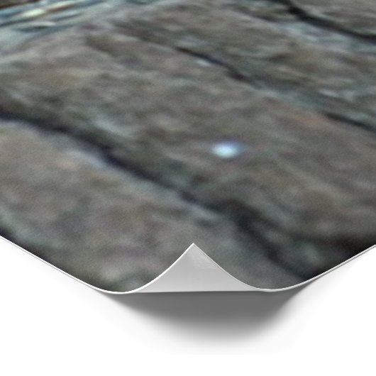 Black Eichhörnchen Autumn Poster (Ecke)