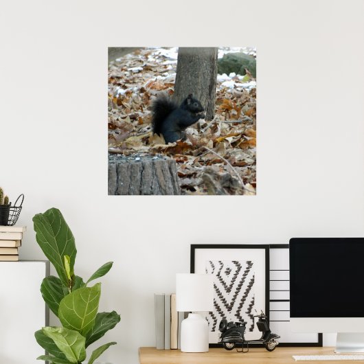 Black Eichhörnchen Autumn Poster (Heimbüro)