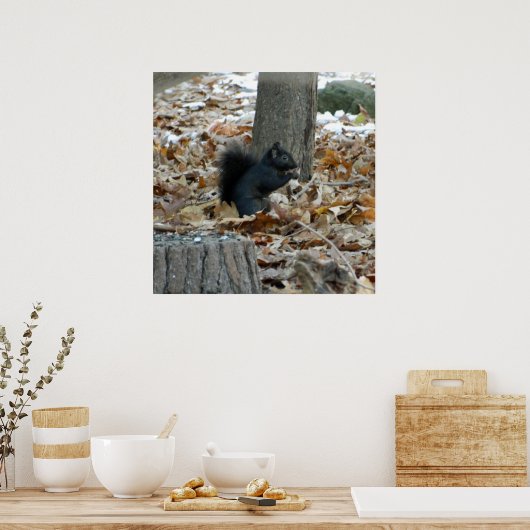 Black Eichhörnchen Autumn Poster (Küche)
