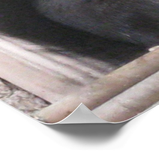 Black Eichhörnchen Poster (Ecke)