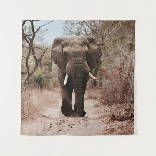 BLACK ELEPHANT WALKING ON BROWN SAND WANDTEPPICH (Vorderseite)