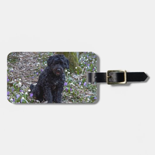 Black English Springer Spaniel Gepäckanhänger (Vorderseite horizontal)