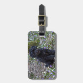 Black English Springer Spaniel Gepäckanhänger (Vorderseite vertikal)