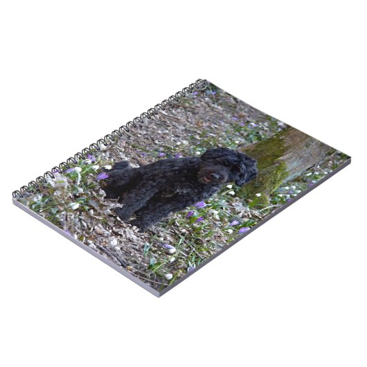 Black English Springer Spaniel Notizblock (Linke Seite)