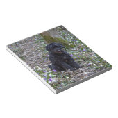 Black English Springer Spaniel Notizblock (angewinkelt)