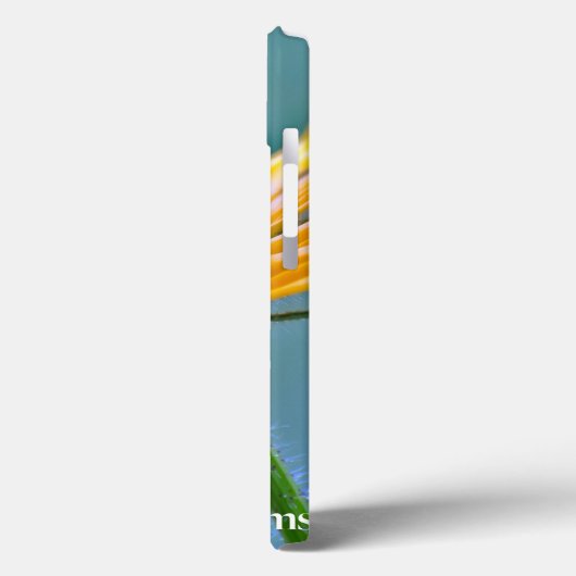 Black-eyed Susan Case-Mate iPhone Hülle (Rückseite / Links)