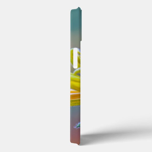 Black-eyed Susan Case-Mate iPhone Hülle (Rückseite / Rechts)