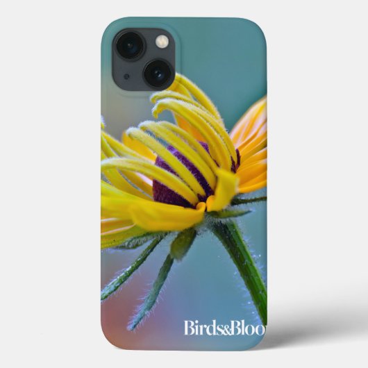 Black-eyed Susan Case-Mate iPhone Hülle (Rückseite)