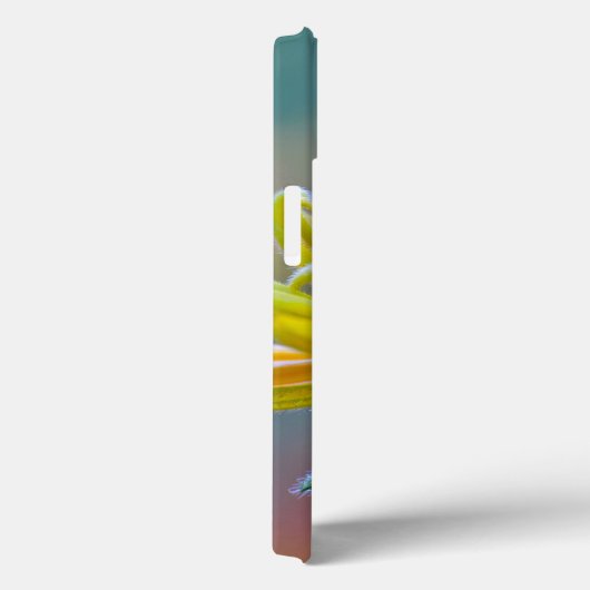 Black-eyed Susan Case-Mate iPhone Hülle (Rückseite / Rechts)