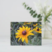 Black-Eyed Susan Postcard Postkarte (Stehend Vorderseite)