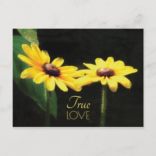 Black Eyed Susan True Love Quote Postkarte (Vorderseite)