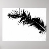 Black Feather Poster (Vorne)